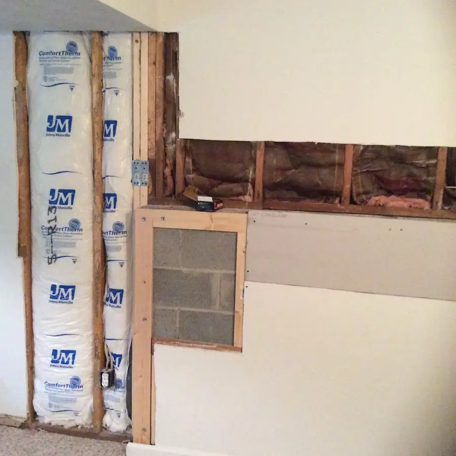 Wall insulation replacement during Odor Removal & Deodorization in Lavon